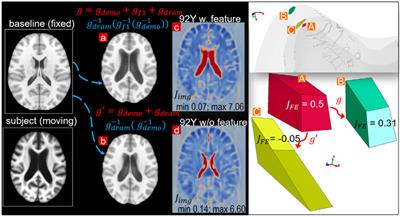 Subject-Specific Head Model Generation by Mesh Morphing: A Personalization Framework and Its Applications